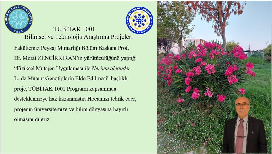  PHOTO-2026-02-12-12-25-52